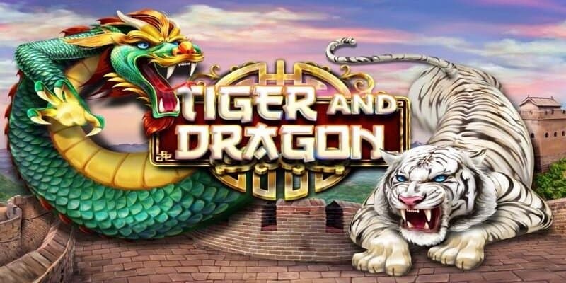 Chơi rồng hổ được biết đến như thế nào ?
