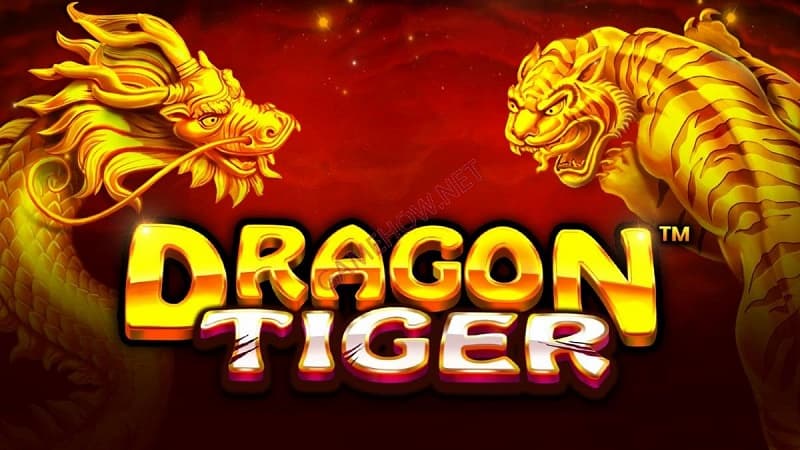 Nắm bắt các quy luật và chiến thuật rồng hổ khi chơi game