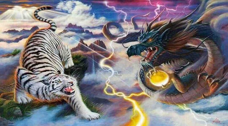 Chia sẻ mẹo cá cược rồng hổ bất bại