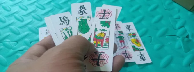 Chọn tam cúc là chọn đúng đường đến sự nghiệp
